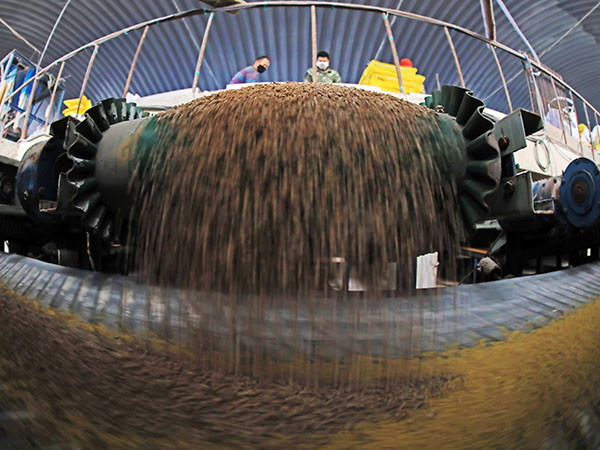 Equipamento de linha de produção de granulado de fertilizantes orgânicos em pó de 1 a 20 toneladas por hora