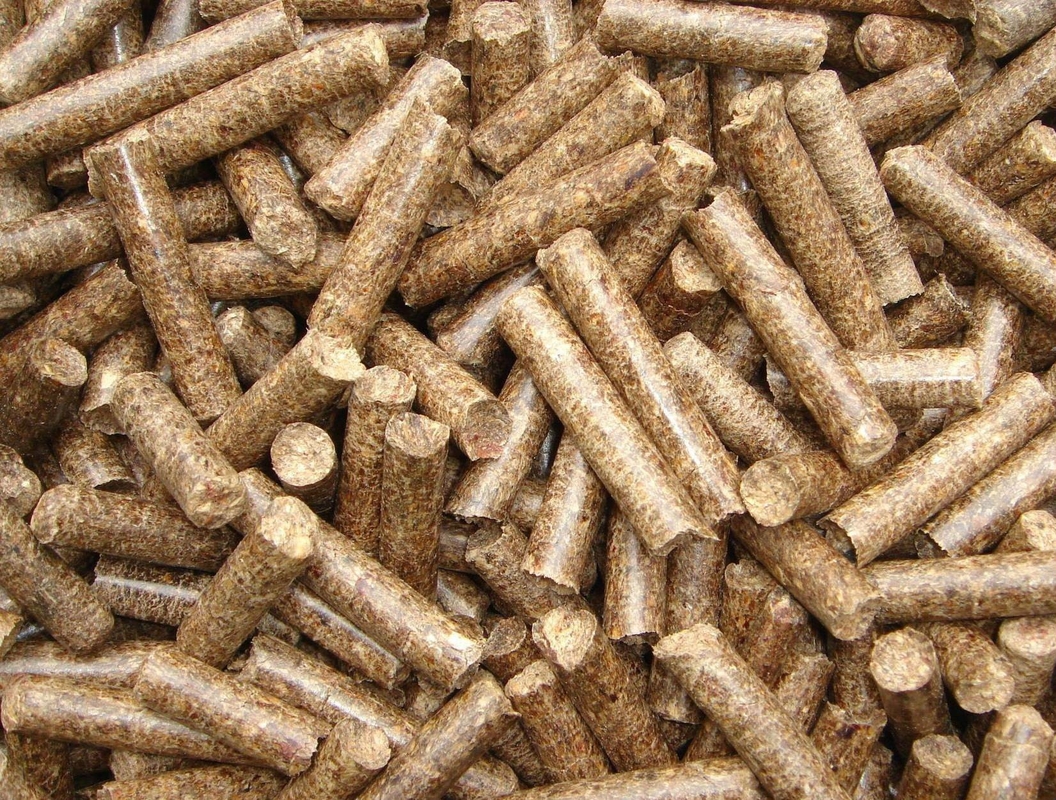 Granulador de fertilizantes orgânicos com capacidade de produção de 4-6 t/h